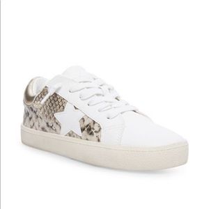 Steve madden  sneakers